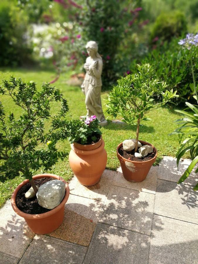 Ferienwohnung Haus Marianne Hof bei Salzburg Exterior foto